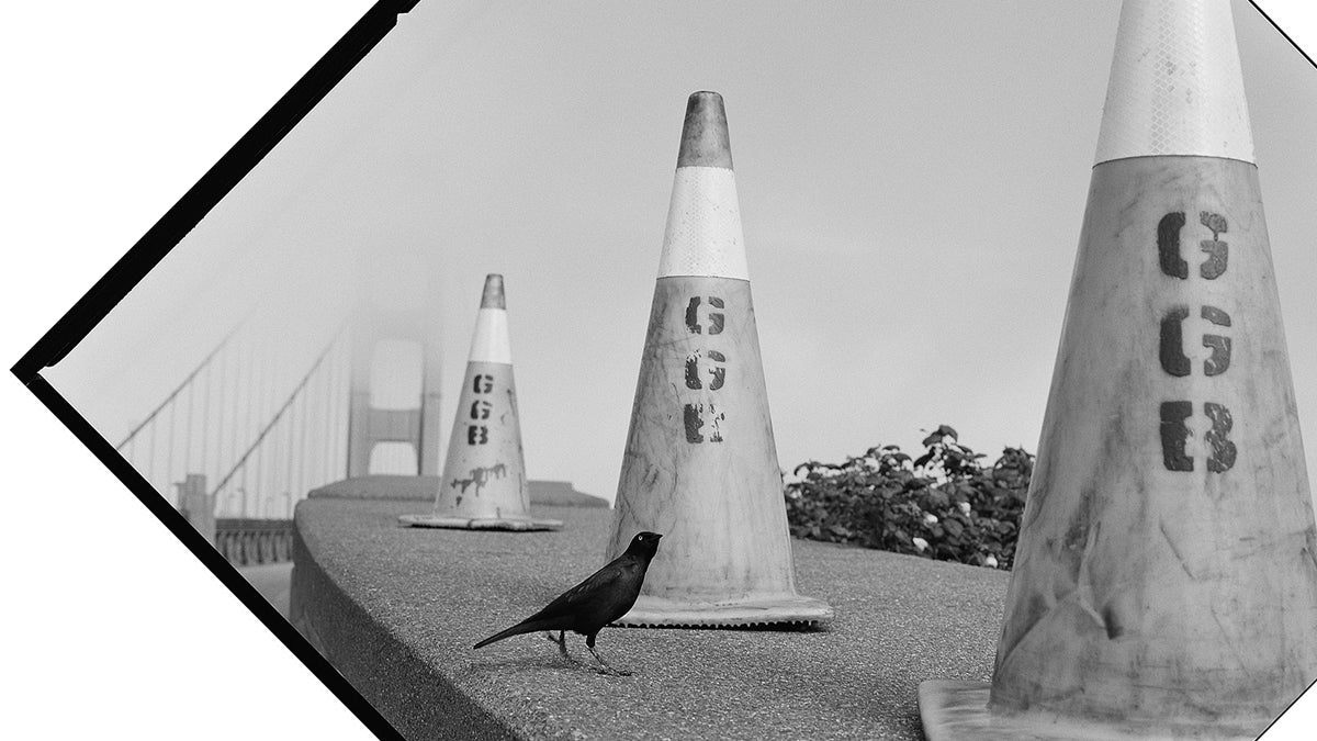 Small Bird at Golden Gate Bridge, San Francisco  2018. Arthur Tress (b. 1940)