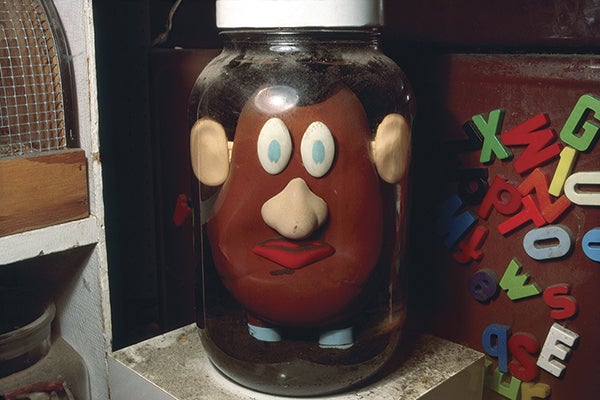 Mr. Potato Head (preserved version)  1982 Mickey McGowan (b. 1946) Mill Valley, California Courtesy of Mickey McGowan, Unknown Museum Archives R2023.0301.001.063